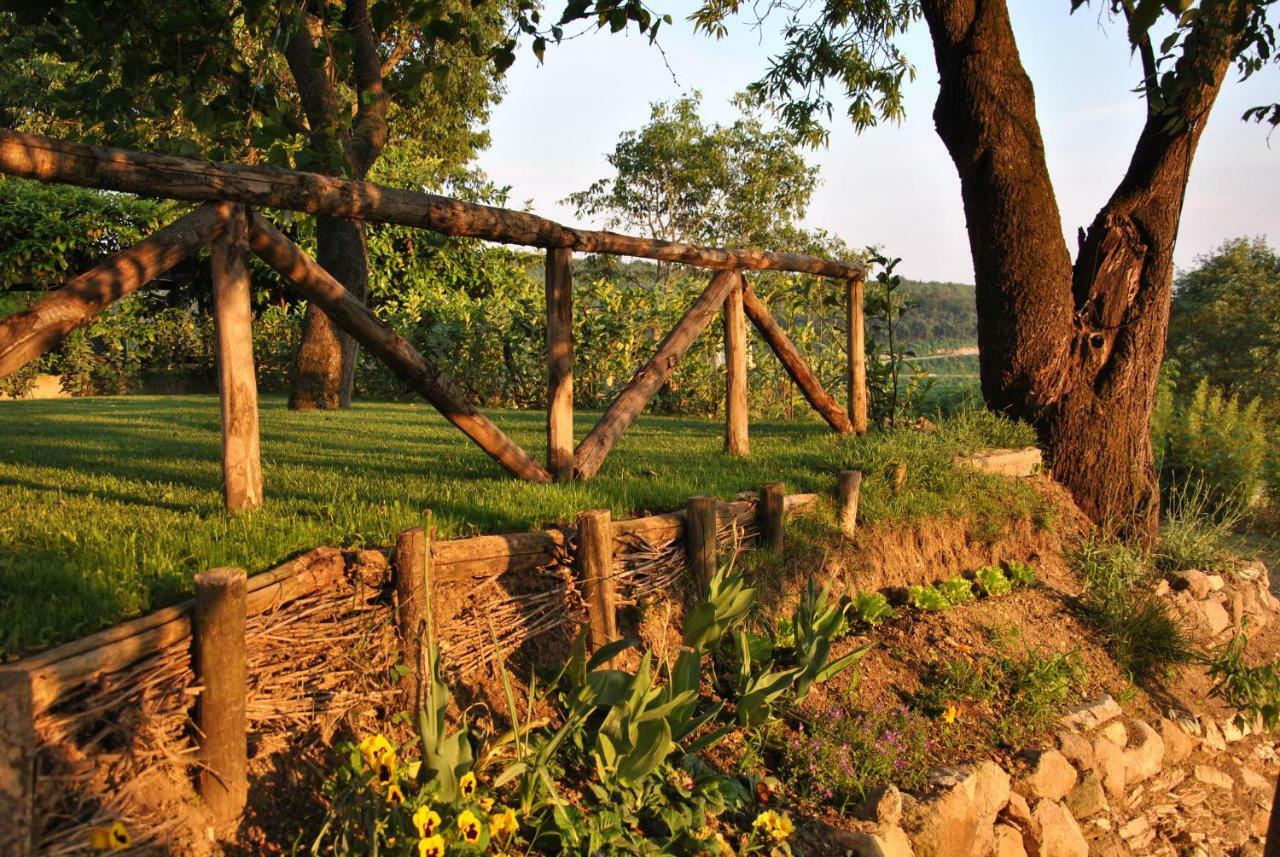 I Grilli B&B Baone Экстерьер фото