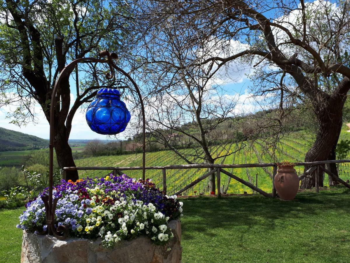 I Grilli B&B Baone Экстерьер фото