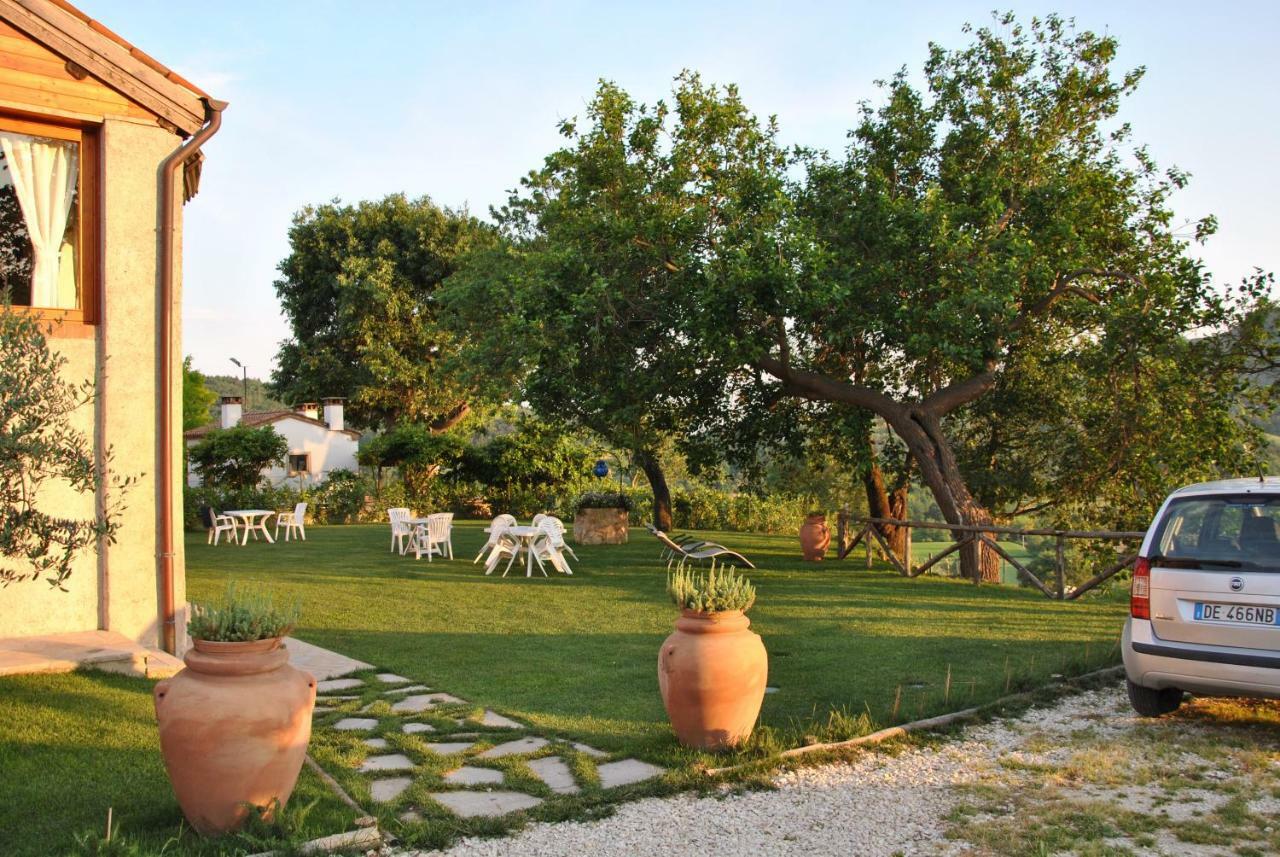I Grilli B&B Baone Экстерьер фото