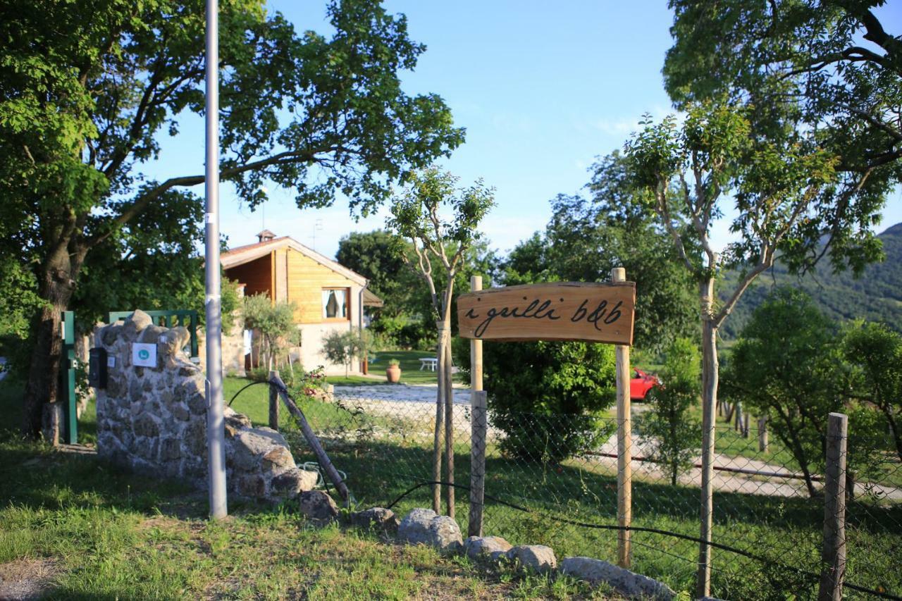 I Grilli B&B Baone Экстерьер фото